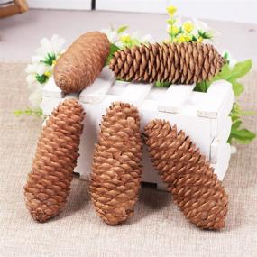 img 4 attached to 10 Pieces of Natural Pinecones Spruce Christmas Decorative Pine Cones for Home Decoration