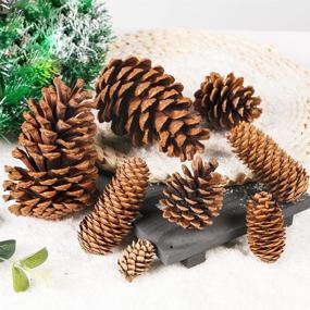 img 3 attached to 10 Pieces of Natural Pinecones Spruce Christmas Decorative Pine Cones for Home Decoration