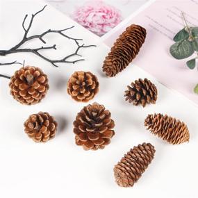 img 1 attached to 10 Pieces of Natural Pinecones Spruce Christmas Decorative Pine Cones for Home Decoration