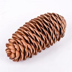 img 2 attached to 10 Pieces of Natural Pinecones Spruce Christmas Decorative Pine Cones for Home Decoration