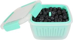 img 4 attached to 🍓 Shopwithgreen Berry Keeper Box Containers, Berry Boxes Fresh Produce Saver Food Storage Containers with Leak-proof Lids - Clear, 50 oz (Green)