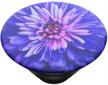 popsockets be a dahlia poptop logo