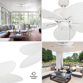 img 3 attached to Prominence Home 80018-01 Solona 52-inch White Ceiling Fan Blade: Efficient and Elegant Cooling Solution