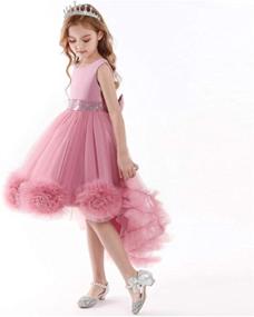 img 1 attached to VEOAY Girls High Low Party Dresses Princess for Girls Ball Gowns Dress, 1-8 Years - Enhanced for SEO