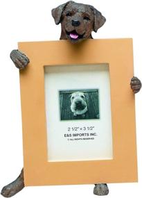 img 1 attached to 🍫 Unique Hand-painted Chocolate Lab Picture Frame: Perfect Gift for Chocolate Lab Owners