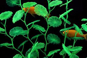 img 2 attached to 🐠 16'' Tall Artificial Natural Fish Tank Decorations for Betta Fish & Other - Green 4 Pack