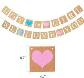 img 2 attached to Gender Reveal Party Decor Kit - Pink Blue Gold Confetti Balloons, Pom Poms, Banner, Paper Lanterns, Tassel Garland - Boy or Girl Gender Reveal Decorations