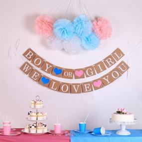 img 3 attached to Gender Reveal Party Decor Kit - Pink Blue Gold Confetti Balloons, Pom Poms, Banner, Paper Lanterns, Tassel Garland - Boy or Girl Gender Reveal Decorations