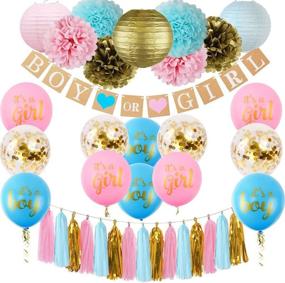 img 4 attached to Gender Reveal Party Decor Kit - Pink Blue Gold Confetti Balloons, Pom Poms, Banner, Paper Lanterns, Tassel Garland - Boy or Girl Gender Reveal Decorations