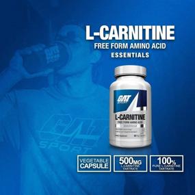 img 2 attached to Sport Essentials L Carnitine Vegetable Capsules