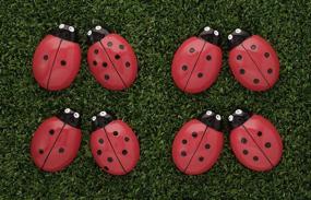 img 1 attached to 🐞 YUS1027 Ladybug Counting Stones - Set of 22 with Yellow Door