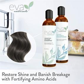 img 2 attached to 🌿 Eva Naturals' 8 oz. Hair Care Set: Natural Strengthening Shampoo & Conditioner - Revive Color Treated Hair with Amino Acids, Herbal Extracts, and Moisture Boost