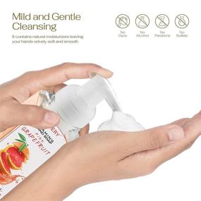 img 2 attached to Lovery Foaming Hand Soap - Pack of 5 - Moisturizing Hand Soap with Aloe Vera & Essential Oils - Alcohol-Free Hand Wash in Citrus Blend, Lemon, Orange, Lime, and Pink Grapefruit Fragrances - Scented Hand Wash for Kitchen and Bathroom