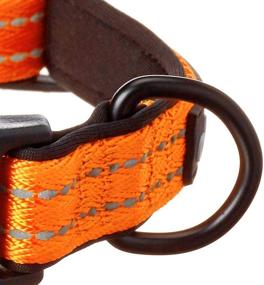 img 1 attached to 🏅 Premium Alcott Adventure Pet Collar - Superior Quality and Durability