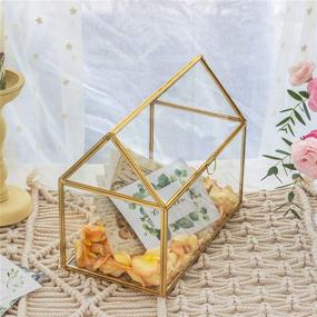 img 2 attached to Geometric Organizer Terrarium Centerpiece Succulents