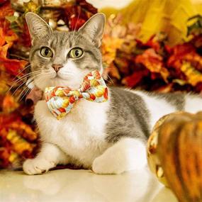 img 1 attached to Festive 2 Pack Thanksgiving Cat Collar: Bowtie, Bell & Fall Holiday Theme for Boys & Girls