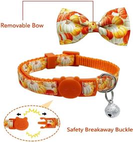 img 3 attached to Festive 2 Pack Thanksgiving Cat Collar: Bowtie, Bell & Fall Holiday Theme for Boys & Girls