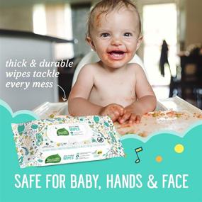 img 1 attached to 🧻 768 Count Seventh Generation Free & Clear Baby Wipes with Flip Top Dispenser – Unscented and White