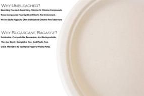 img 1 attached to 🍽️ 100 Count Natural Sugarcane Bagasse Bamboo Fiber Disposable Plates, 10 Inch Sturdy Round Plates - Tree Plastic Free, Eco-Friendly Paper & Plastic Plate Alternative