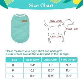 img 3 attached to 🐶 BINGPET Striped Dog T-Shirt 4 Pack: Breathable Cotton Clothes for Summer - Small to Medium Dogs, Puppies, Boys and Girls