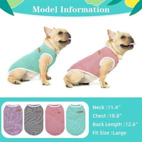 img 2 attached to 🐶 BINGPET Striped Dog T-Shirt 4 Pack: Breathable Cotton Clothes for Summer - Small to Medium Dogs, Puppies, Boys and Girls