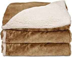 img 4 attached to Sunbeam Heated Throw Blanket - 🌞 Reversible Sherpa/Royal Mink, 3 Heat Settings - Honey