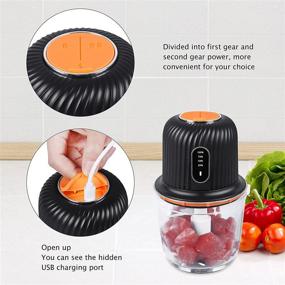 img 1 attached to 🔌 USB Charged Electric Food Chopper - Mini Meat Grinder, Kitchen Food Processor, Portable with 4 Speeds Adjustment, 3 Sharp Stainless Steel Blades, 200W