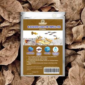 img 2 attached to SunGrow Indian Almond Leaves for Hermit Crabs - Supports Breeding, Natural Dried 🦀 Leaves to Enhance Humidity, Nutritious Treat for Crabs, Rich in Cellulose - Pack of 10