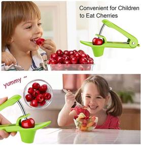 img 3 attached to 🍒 Stainless Steel Cherry Pitter Tool - Olive Seed Remover, Multi-Function Portable Cherries Pitter with Space-Saving Lock - Suitable for Cherries and Olives