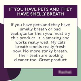 img 1 attached to Optimized Petlab Co. Cat Dental Formula: Targeting Plaque &amp; Tartar, 🐱 Promoting Teeth Cleanliness, Gum Health &amp; Fresh Breath with Cat Water Solution