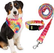 🐶 tie dye dog bandana collar and leash set - daily walk, run, train - small medium pet puppy gifts - set of 3 logo