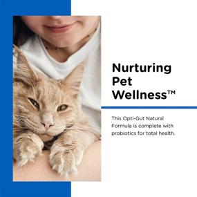 img 2 attached to Nutri-Vet Milk Replacement for Kittens: Probiotic-Infused, 12 Ounces for a Healthy Gut