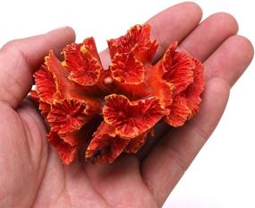 img 2 attached to 🐠 Polyresin Coral Ornament for Aquarium Decoration - 1 Pc, Measures 3.1" x 2.3" x 1.9" - Danmu, Fish Tank Aquarium Coral Decor