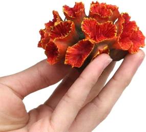 img 3 attached to 🐠 Polyresin Coral Ornament for Aquarium Decoration - 1 Pc, Measures 3.1" x 2.3" x 1.9" - Danmu, Fish Tank Aquarium Coral Decor
