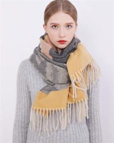 img 2 attached to 🧣 Winter Warmth and Style: RIIQIICHY Women Scarf Pashmina Shawls Wraps Stole with Tassel