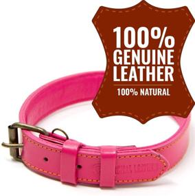 img 3 attached to 🐶 Top-rated Logical Leather Dog Collar - Premium Full Grain Padded Leather Collars