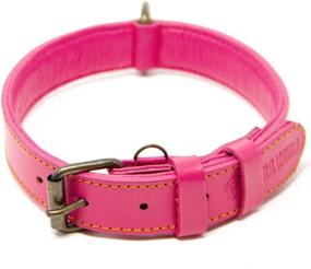 img 4 attached to 🐶 Top-rated Logical Leather Dog Collar - Premium Full Grain Padded Leather Collars