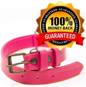 img 1 attached to 🐶 Top-rated Logical Leather Dog Collar - Premium Full Grain Padded Leather Collars