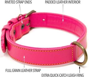 img 2 attached to 🐶 Top-rated Logical Leather Dog Collar - Premium Full Grain Padded Leather Collars