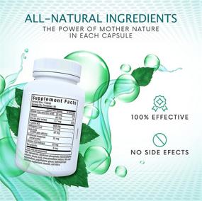 img 2 attached to 💊 XSIMPLEX L-Lysine Capsules: Maximum Strength Immune Support Formula with All Natural Ingredients - 90 Pills Per Bottle