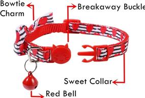 img 3 attached to BoomBone Pack Valentines Collar Puppy