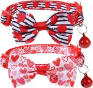 boombone pack valentines collar puppy logo