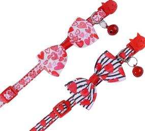 img 1 attached to BoomBone Pack Valentines Collar Puppy