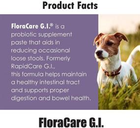 img 2 attached to 🐾 FloraCare G.I – Dietary Supplement Paste for Dogs & Cats, Promotes Healthy Intestinal Tract, Digestion, and Bowel Health – Vitamin, Protein, Fat, Fiber – 60 CC, RAPIDCARE60CC