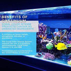 img 1 attached to Continuum Aquatics Intense V Multivitamin Coloration