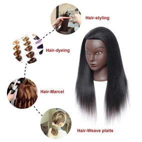 Afro Mannequin Heads Mannequin for Hairstyles 100% Humhair Wig Heads for  Hairdressers Hair for Dolls Good Header Hair Salon Wigs