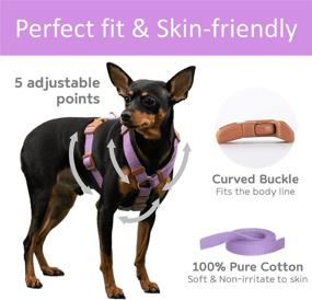 img 3 attached to 🐾 Boddlelang Adjustable Dog Harness for Small and Medium Dogs & Cats - No Choke, Escape Proof, Soft Cotton, Pet Walking Halter Harnesses