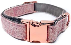 img 2 attached to 🐶 Durably Stylish: InstaPetTags Heavy Duty Nylon Dog Collars and Leashes with Metal Rose Gold Buckles - Available in Sizes Extra Small to Large