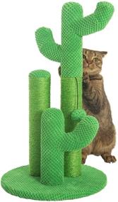 img 2 attached to 🌵 Kilodor Cactus Cat Scratching Post: Medium Sisal Scratcher Tree with Ball - Premium Quality for Kittens