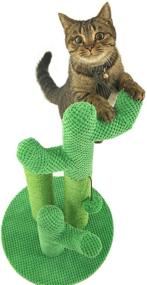 img 1 attached to 🌵 Kilodor Cactus Cat Scratching Post: Medium Sisal Scratcher Tree with Ball - Premium Quality for Kittens